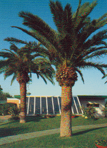 Foto della Club House